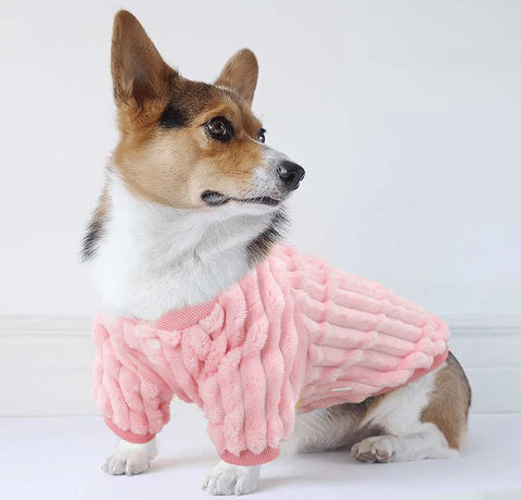 Jaquetinha LaPetite Lã™ para cães e gatos