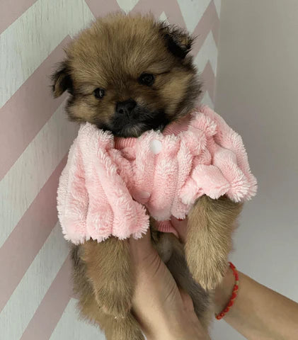 Jaquetinha LaPetite Lã™ para cães e gatos