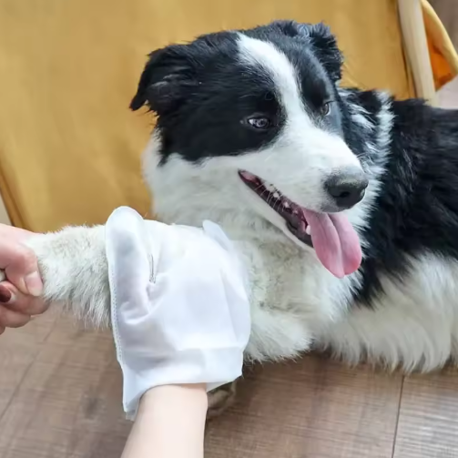 Luva Mágica PetClean™