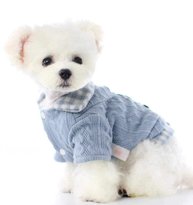 Casaquinho Petcci™