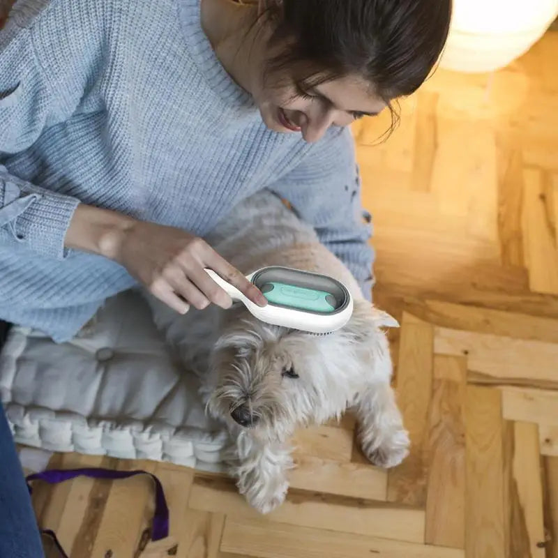 Escova Removedora de Pelos PetGravity 2.0™ - QUEIMA DE ESTOQUE