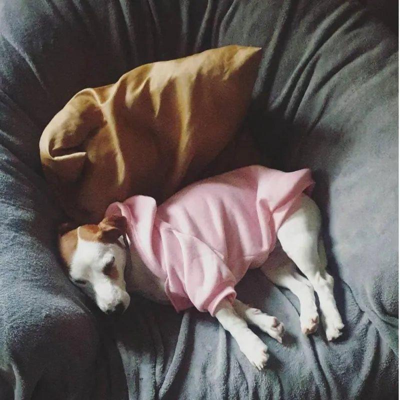 Casacão The Dog Face™