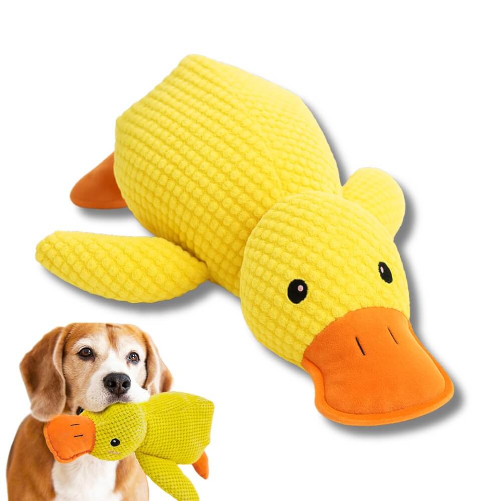 Patinho CalmPet