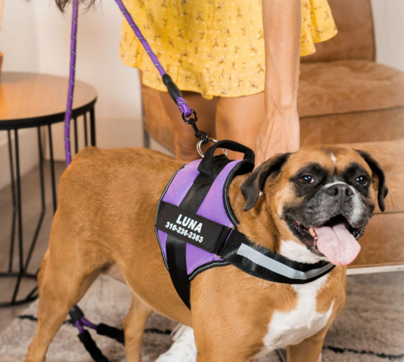 Guia Refletiva Acolchoada SafeBud™