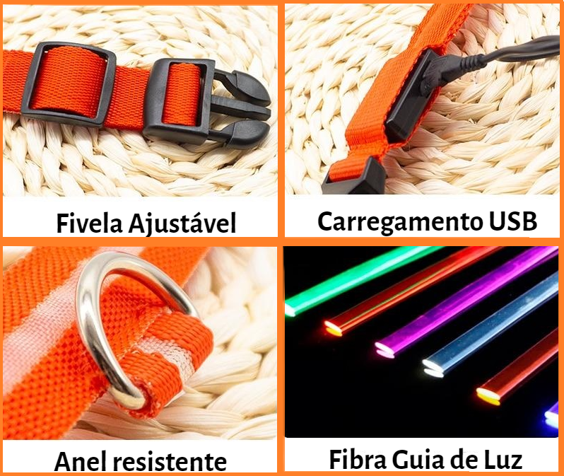 Coleira LED Prime