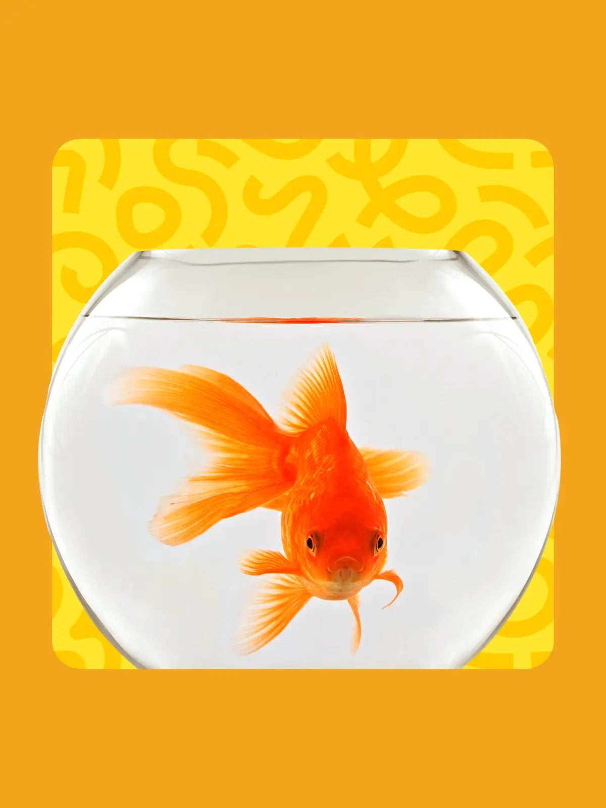 Peixes