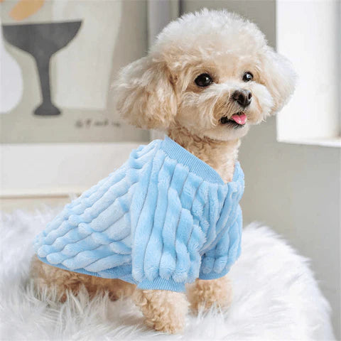 Jaquetinha LaPetite Lã™ para cães e gatos