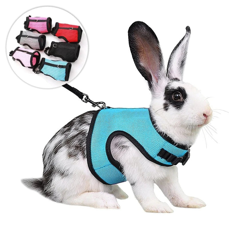Colete-e-Guia-para-Coelhos-Pets