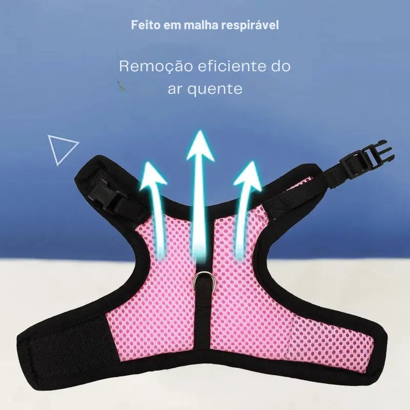 Colete-e-Guia-para-Coelhos-Pets