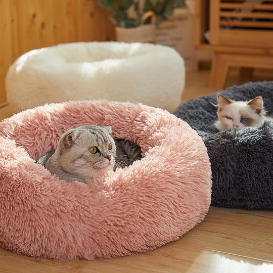 Cama Dolce Sonno