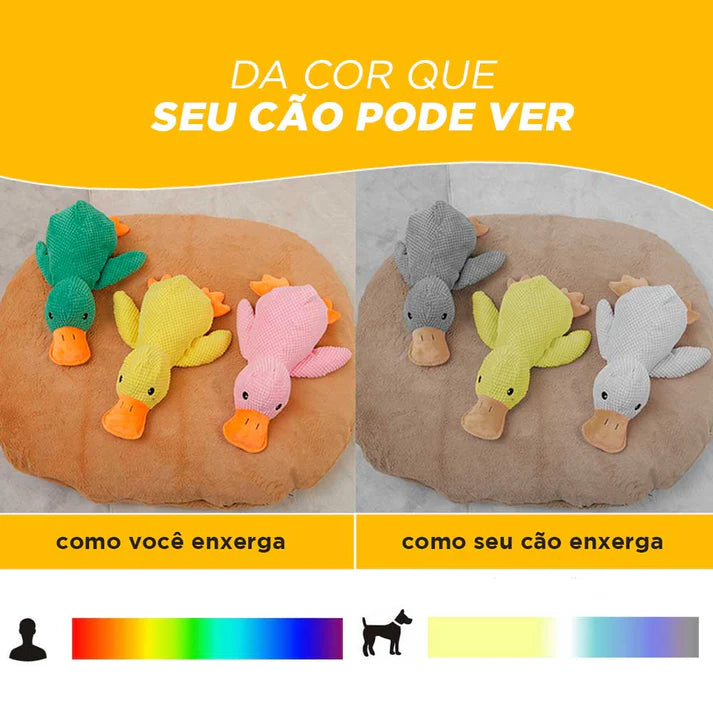 Patinho CalmPet