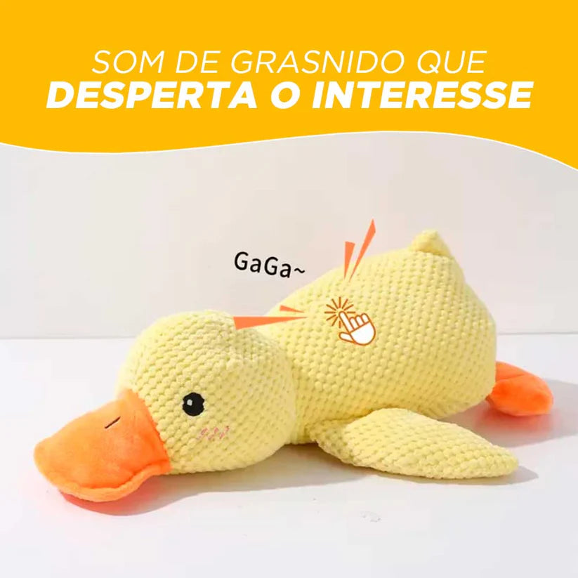 Patinho CalmPet