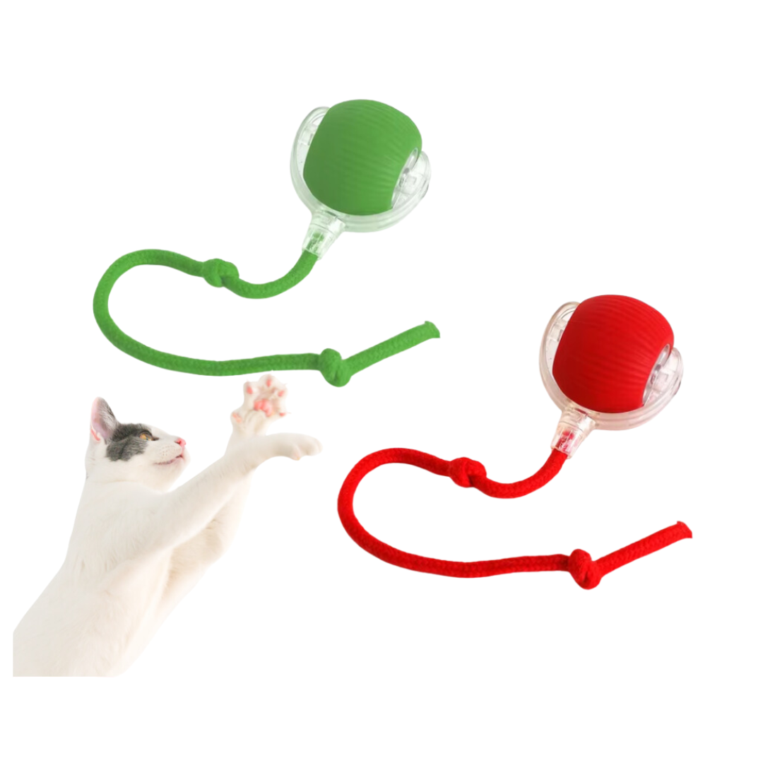BolaViva - Bola Interativa de Diversão para Cães e Gatos