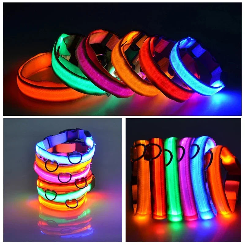 Coleira LED Prime