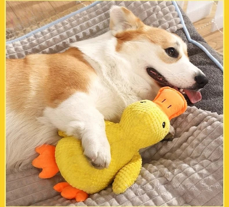Patinho CalmPet