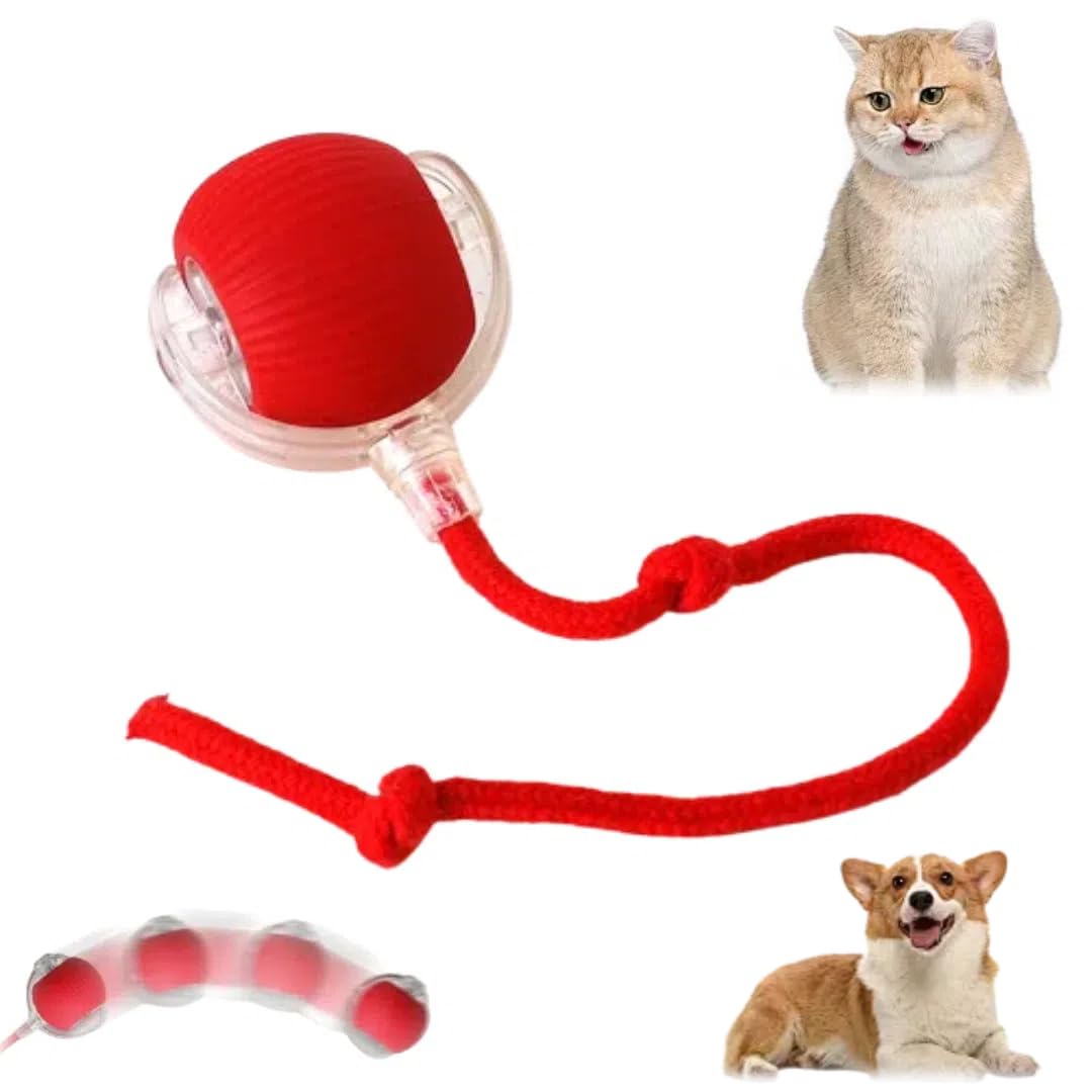 BolaViva - Bola Interativa de Diversão para Cães e Gatos