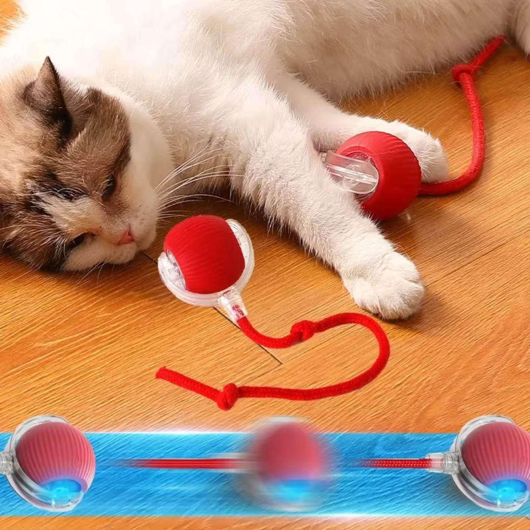 BolaViva - Bola Interativa de Diversão para Cães e Gatos