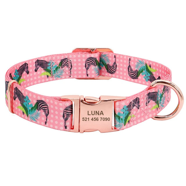 Coleira Pet Happy - Identificação personalizada